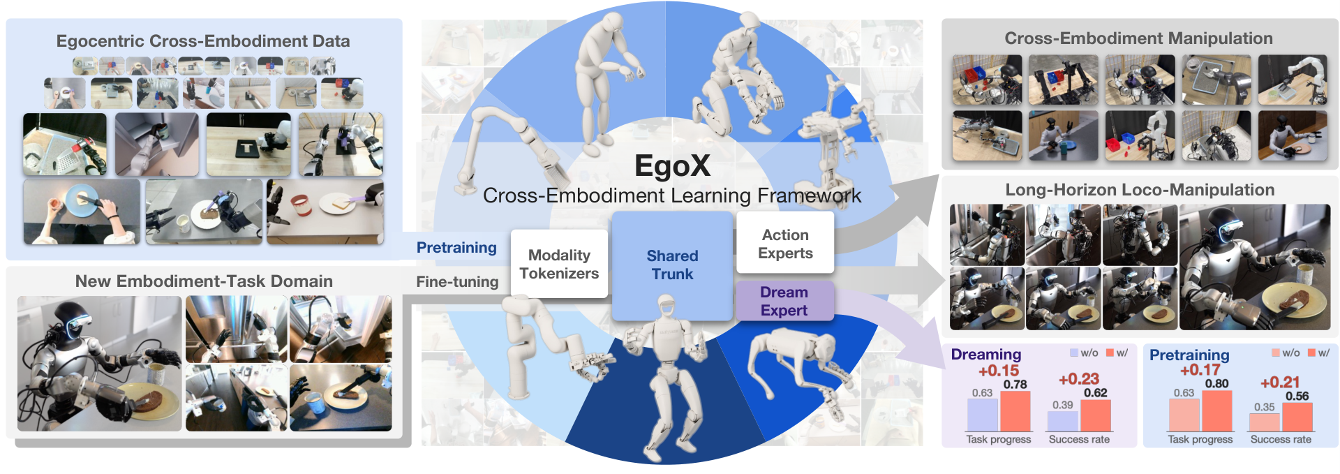EgoX framework spanning human and robot egocentric data, cross-embodiment pretraining, target-embodiment fine-tuning, and manipulation tasks